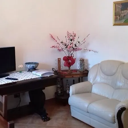 Corallo * Арона